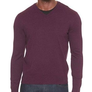 Banana Republic Men’s V-Neck Sweater